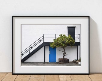 Houston photography, Marfreless print, River Oaks, West Gray bar