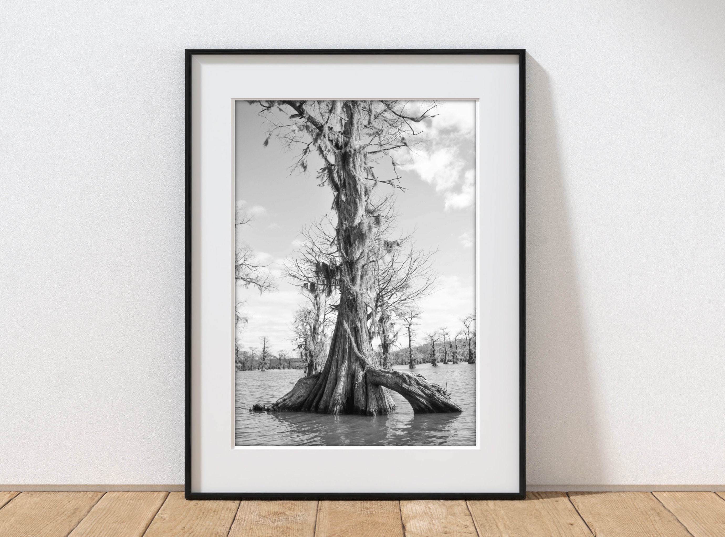Caddo Lake Print: Black and White Cypress Tree Photography