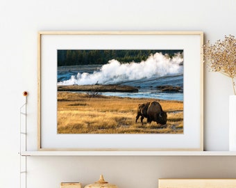 Yellowstone Park Photo, Wyoming Landscape, Large Nature Art, National Park Print, Yellowstone Wildlife Photography
