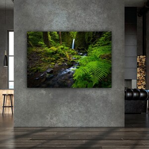  USA Rivers Autumn Stones Forests Elwha River 3D Wall