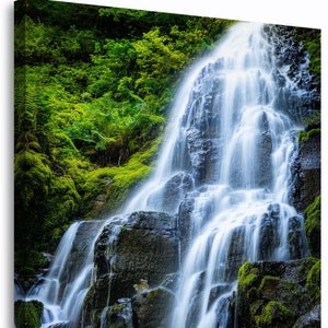 Oregon Waterfall Photo Print, Large Pacific Northwest Wall Art, Fairy Falls Columbia Gorge, Green Forest Nature Photography image 3