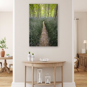 Lush Desert Trail Print – Escalante Utah Nature Photography – Calf Creek Canyon Wall Art