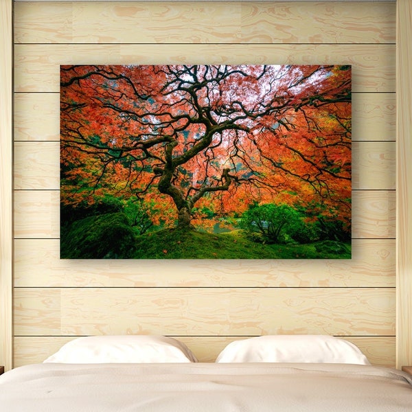 Japanese Maple Tree, Large Wall Art, Portland Japanese Garden, Oregon Nature Photography, Fall Colors, Pacific Northwest Photo Print