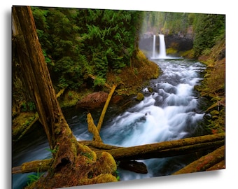 Koosah Falls Print – Oregon Waterfall Photography – Lush Forest Wall Art – Framed or Unframed