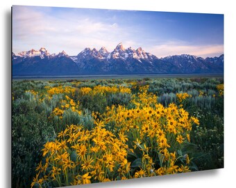 Grand Teton Print – Mountain Wildflowers – Mountains Wall Decor – Grand Tetons Art – Photo on Paper, Canvas, Metal, Acrylic