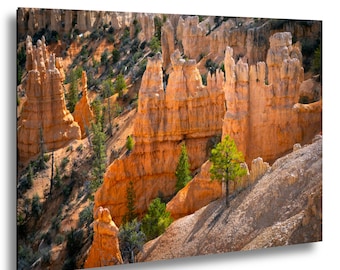 Bryce Canyon Photography – Fairyland Point – Southwestern Decor – National Park Art – Photo on Paper, Canvas, Metal, Acrylic