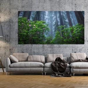 Redwood Forest Fog Print – Panoramic Nature Photography – Spring Rhododendrons in Del Norte Coast Redwoods, California