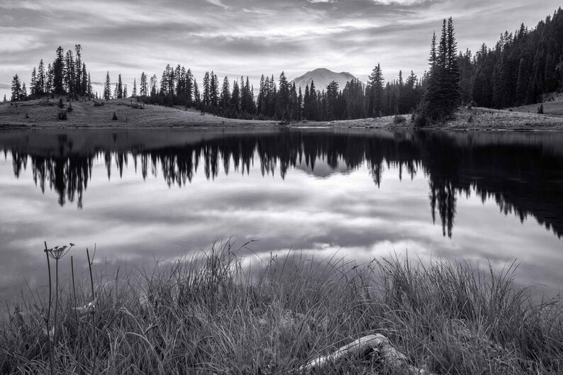 Metal Wall Art Mt Rainier National Park Tipsoo Lake Etsy