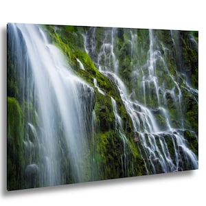 Stampa Proxy Falls Oregon – Fotografia di cascate muschiose – Arte naturalistica del Pacifico nord-occidentale – Foto su carta, tela, metallo, acrilico
