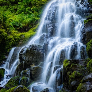 Oregon Waterfall Photo Print, Large Pacific Northwest Wall Art, Fairy Falls Columbia Gorge, Green Forest Nature Photography image 6