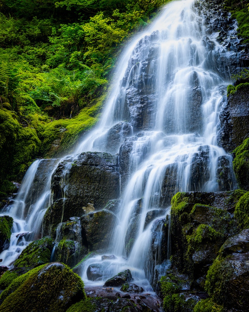 Oregon Waterfall Photo Print, Large Pacific Northwest Wall Art, Fairy Falls Columbia Gorge, Green Forest Nature Photography image 6