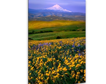 Oregon Wildflower Wall Art – Mount Hood Photography Print – Scenic Nature Picture – Photo on Paper, Canvas, Metal, Acrylic
