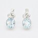 see more listings in the Earrings section