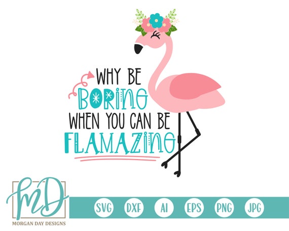 Download Flamingo Svg Why Be Boring Be Flamazing Pink Flamingo Svg Etsy