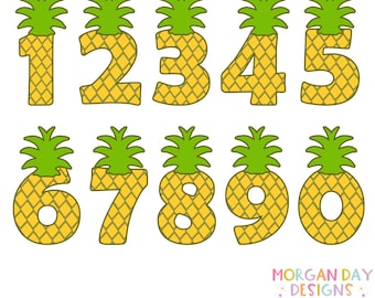 Ananasnummers SVG, Luau-feest, zomerverjaardag, digitale download, Cricut, silhouet, eerste verjaardag SVG, fruitthema, planner, doodle