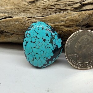 6x24x26mm  Freeform cabs, Natural turquoise cabochons GBS144