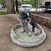 see more listings in the Dog Cat Pet Beds section