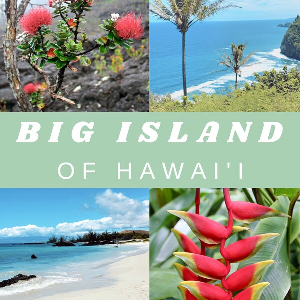 Big Island Etsy