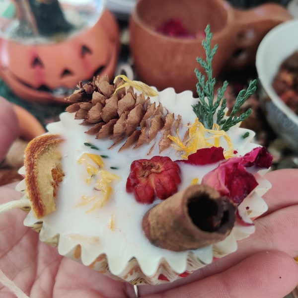 Botanical Wax CampFire Starters  Fireplace indoor or outdoor fire starter cedar, cinnamon, soy wax, pinecones dried orange bonfires botanica