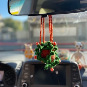 Crochet hanging car plant- string of pearls