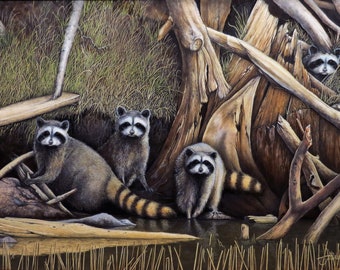 raccoons, wildlife, fine art, original, oil, painting, animals, western, scenery, outdoors, fishing