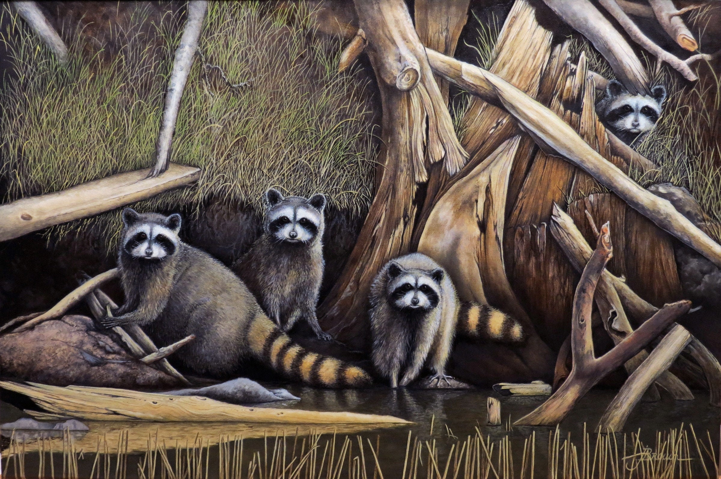 Raccoons wildlife fine art original oil painting | Etsy