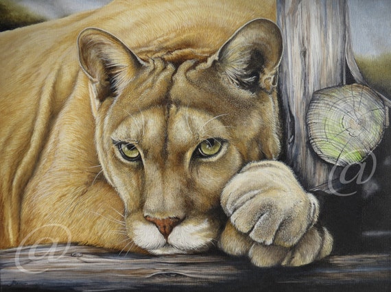 óleo pintura de montaña puma gato Etsy España