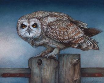 fine art, original, birds, raptors, owl, wildlife, animals, nature, realism, painting, hunting. outdoors