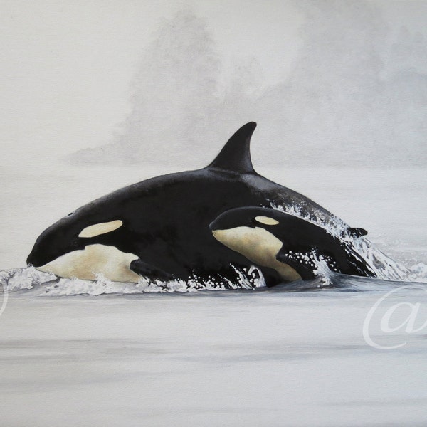original, oil, painting, Orca, killer whale, sealife, seascape, marine, Puget Sound, Seattle, ocean, Washington, Jan Brown