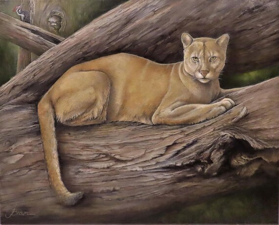 Original, Art, Oil Painting, Cougar, Mountain Lion, Wildlife