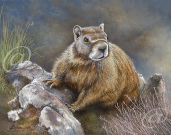 original oil painting, marmot, groundhog, animal, wildlife, rodent, canvas, fine art, realistic, portrait, rock chuck, Jan Brown