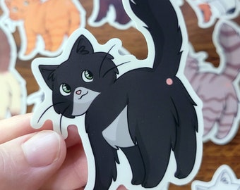 Cat butt sticker, kitty sticker, cat butthole, vinyl sticker, water proof sticker, cute cat sticker