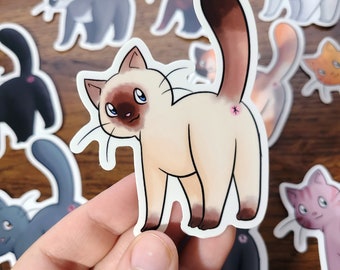 Cat butt sticker, kitty sticker, cat butthole, vinyl sticker, water proof sticker, cute cat sticker