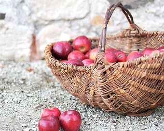Large French Harvest Basket Nº 1