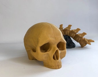 3Dプリントされた人間の頭蓋骨と背骨のトロフィー – ゴシック調のデスクトップ装飾