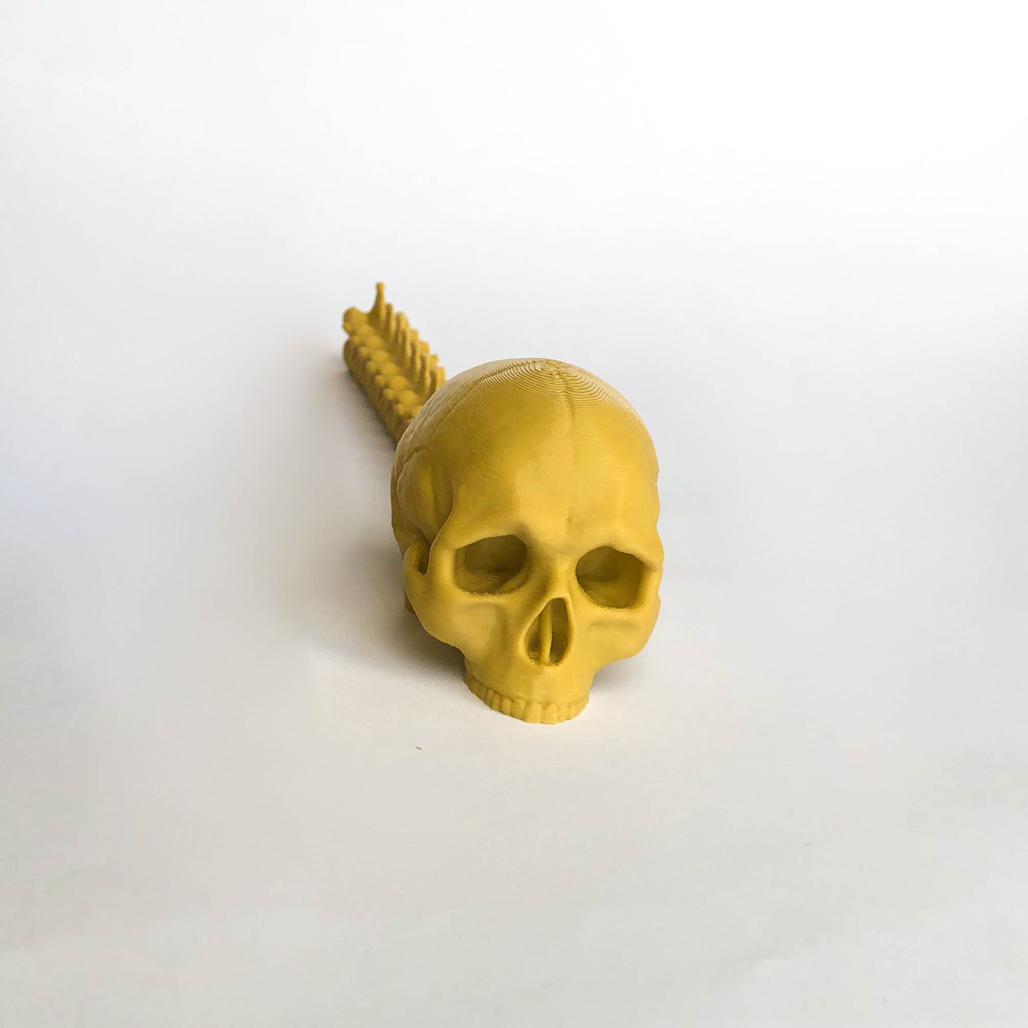 Tiny Skull and Spine Decorations - Predator Hunting Human Skull