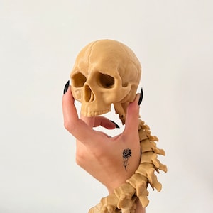 Flexible Skull and Spine Halloween Decorations - Predator Hunting Human Skull and Spine Trophy Toy - Highly Detailed 3D Printed Gothic Decor
