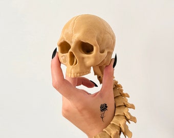 3Dプリントされた頭蓋骨と背骨 – 柔軟なハロウィン装飾、ゴシック玩具