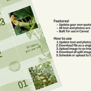 May include: A green and white Canva template with four squares featuring images of various vegetables and text. The text includes "Good vibes in the garden, all year long!" and "Be happy, grow your own."