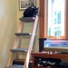 see more listings in the NEW! Cherry Cat Ladders section