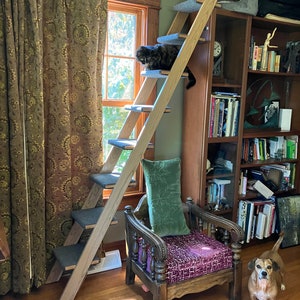 Cat Ladder - 8 Step Cherry Hardwood | Lets Cats Climb Indoors to Reach New Heights for New Sights | Contemporary Handcrafted Pet Furniture