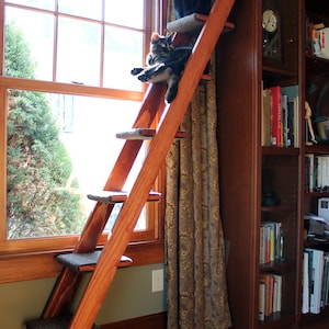 May include: A wooden cat ladder with seven steps, featuring a pecan finish and slate carpet. The ladder is mounted against a wall with a window and a bookshelf. Two cats are perched on the ladder, one black and one tabby.
