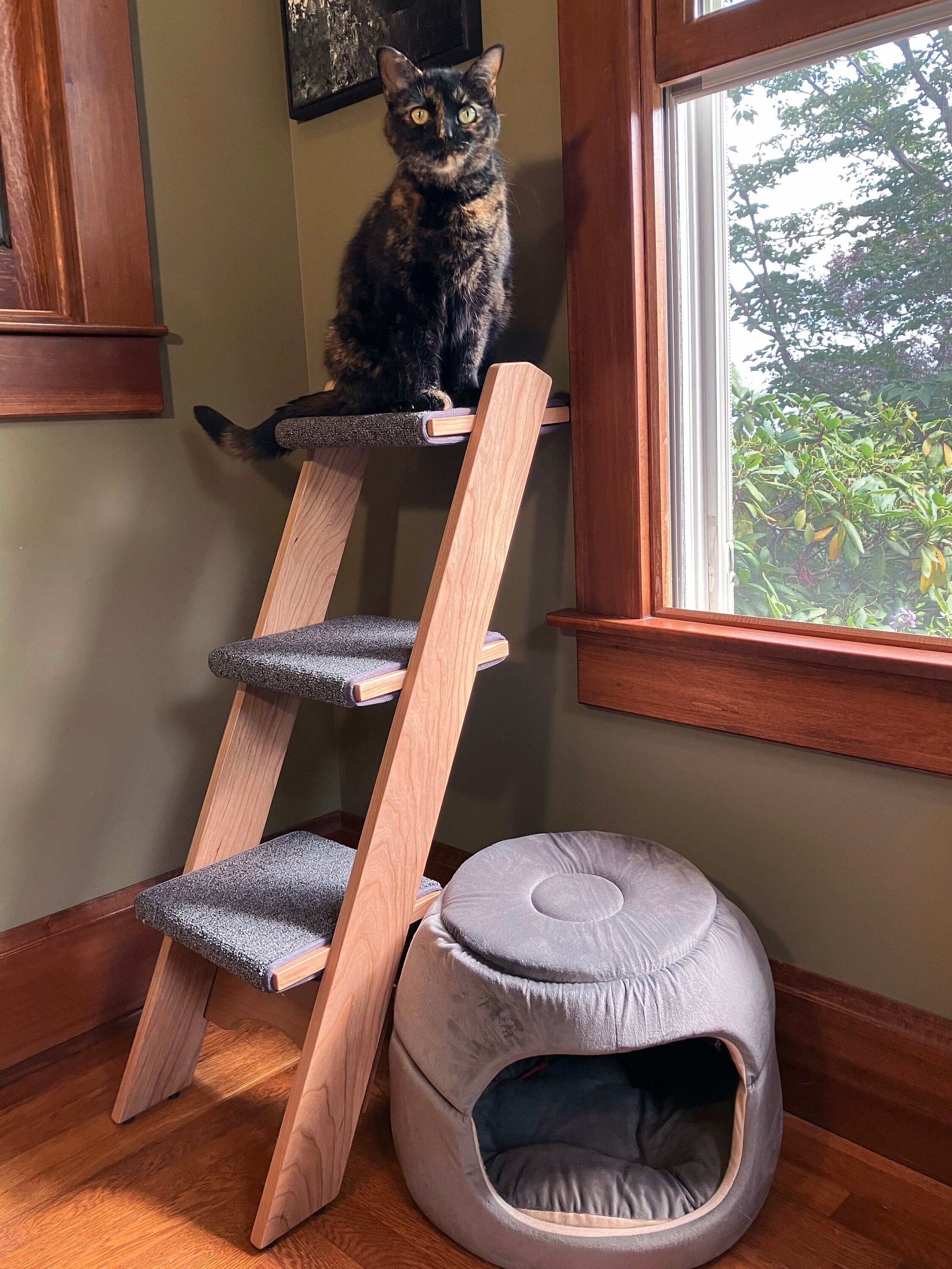 Cat Ladder - 3 Step Cherry Hardwood | Handcrafted High-quality Ladder ...