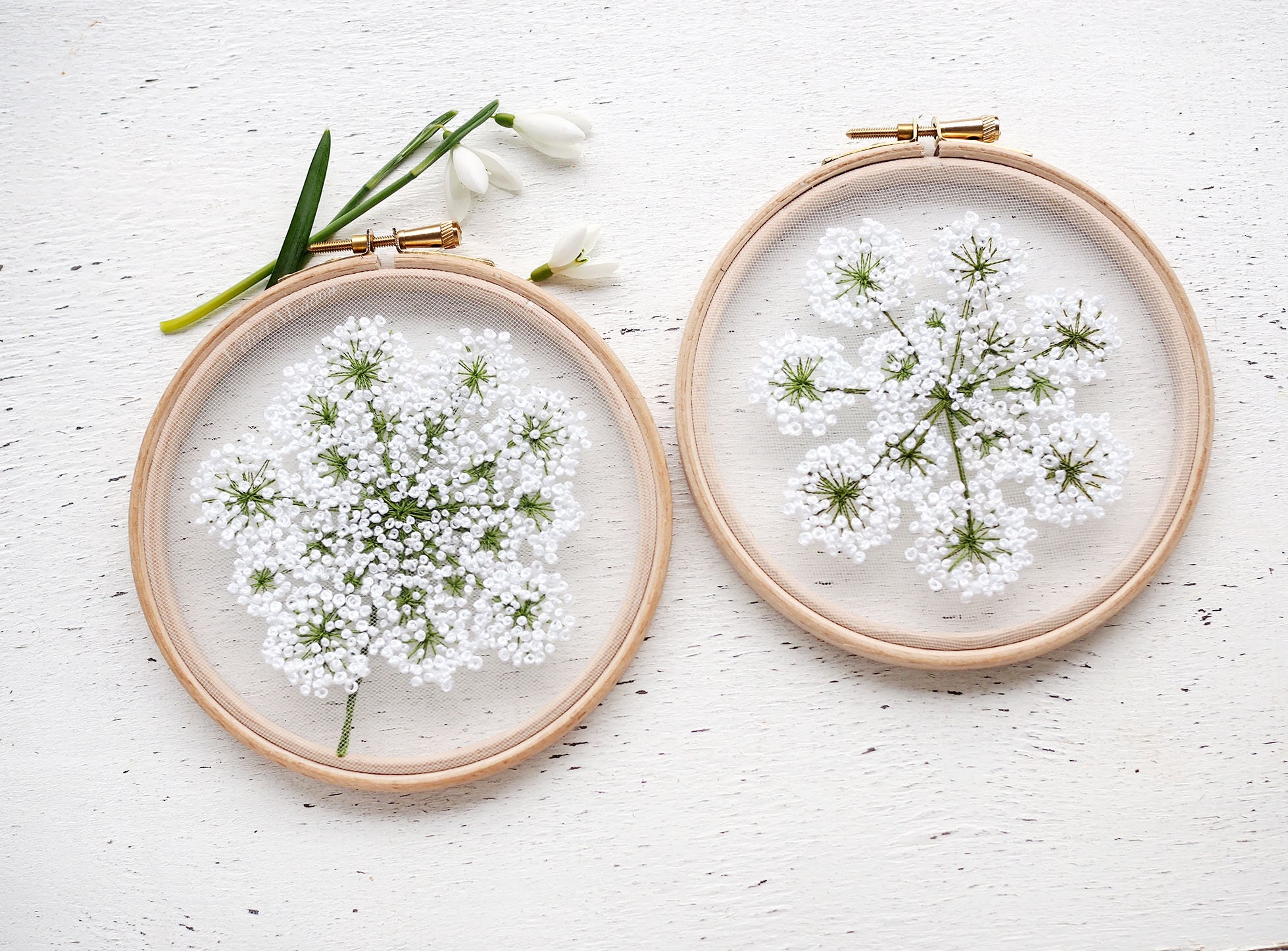 Hand Embroidery Queen Anne Lace 