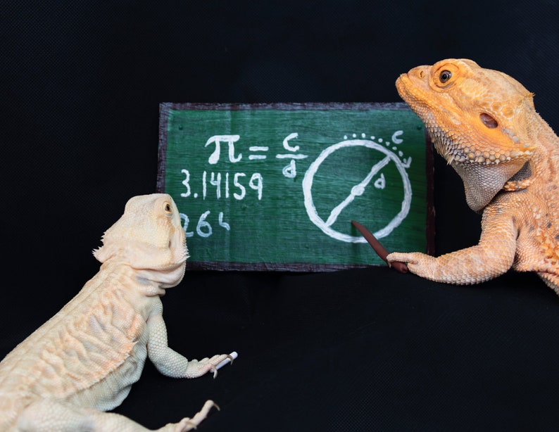 2024 Bearded Dragon Calendar Etsy