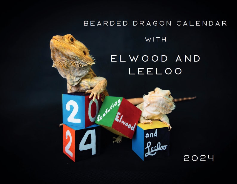 International Shipping 2024 Bearded Dragon Calendar Etsy