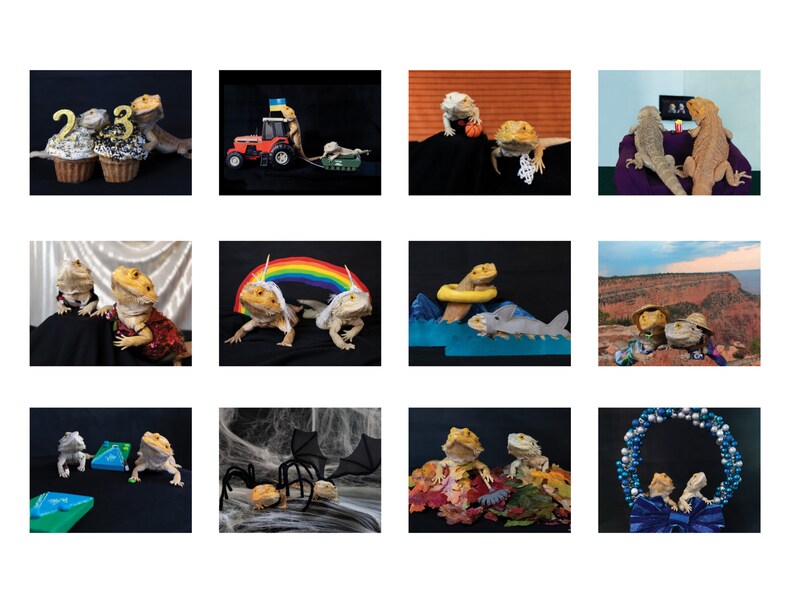 2023 Bearded Dragon Calendar Come Back Soon for 2024 - Etsy 2023 Bearded Dragon Calendar Come Back Soon for 2024 - Etsy