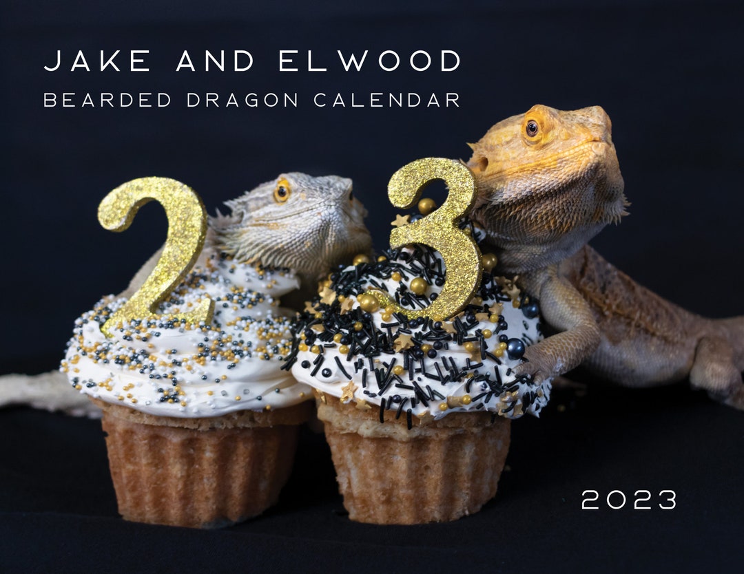 2023 Bearded Dragon Calendar Etsy