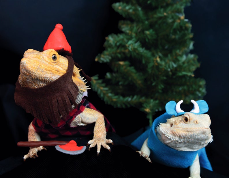 2024 Bearded Dragon Calendar Etsy