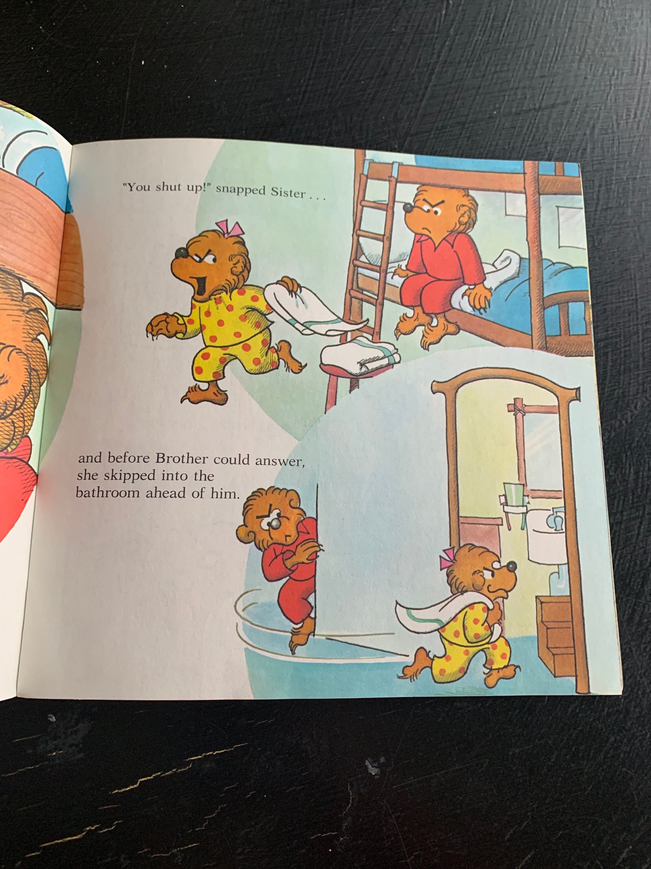 The Berenstain Bears Get In A Fight - Stan Berenstain - Good Condition Paperback